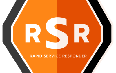 Optimizing Hospital Cleaning with Data-Driven Insights: The Role of Rapid Service Responder (RSR)